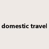 domestic travel是什么意思