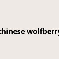 chinese wolfberry是什么意思