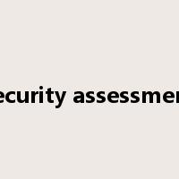 security assessment是什么意思