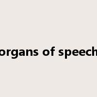 organs of speech是什么意思