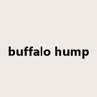 buffalo hump是什么意思