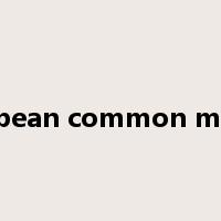 european common market是什么意思