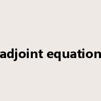 adjoint equation是什么意思