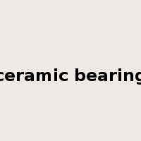 ceramic bearing是什么意思