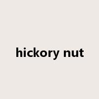 hickory nut是什么意思