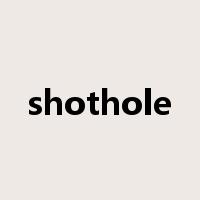 shothole是什么意思