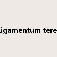 Ligamentum teres是什么意思