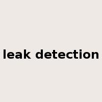 leak detection是什么意思