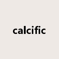 calcific是什么意思