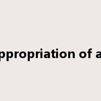 misappropriation of assets是什么意思