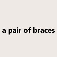 a pair of braces是什么意思