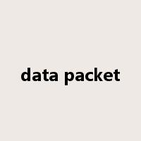 data packet是什么意思