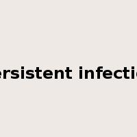 persistent infection是什么意思