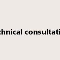 technical consultation是什么意思