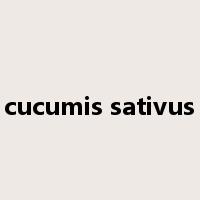 cucumis sativus是什么意思