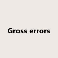 Gross errors是什么意思