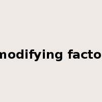 modifying factor是什么意思