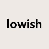 lowish是什么意思