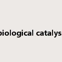 biological catalyst是什么意思