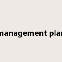 management plan是什么意思