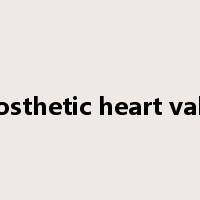 prosthetic heart valve是什么意思