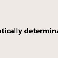 statically determinate是什么意思