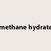 methane hydrate是什么意思
