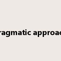 pragmatic approach是什么意思