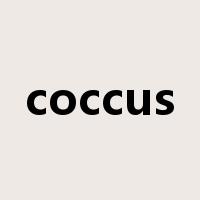 coccus是什么意思