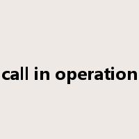 call in operation是什么意思