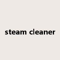 steam cleaner是什么意思
