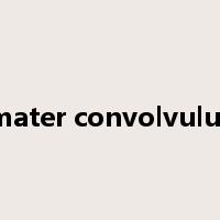 mater convolvulus是什么意思