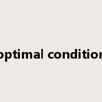 optimal condition是什么意思