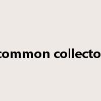 common collector是什么意思