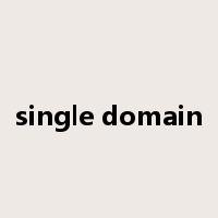 single domain是什么意思