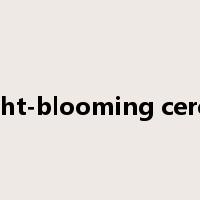 night-blooming cereus是什么意思