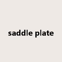 saddle plate是什么意思