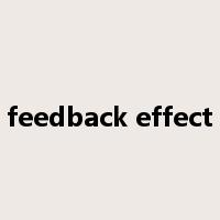feedback effect是什么意思