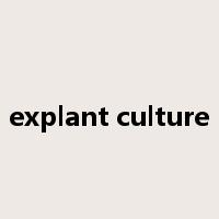 explant culture是什么意思
