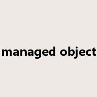 managed object是什么意思