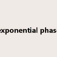 exponential phase是什么意思
