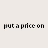 put a price on是什么意思