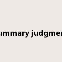 summary judgment是什么意思