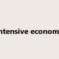 intensive economy是什么意思