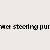 power steering pump是什么意思