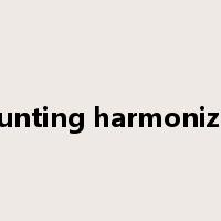 Accounting harmonization是什么意思