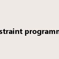 Constraint programming是什么意思