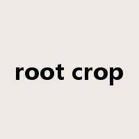root crop是什么意思