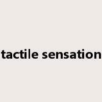 tactile sensation是什么意思