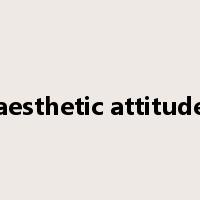 aesthetic attitude是什么意思